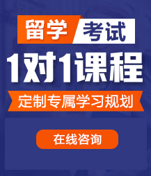 操屄黄色网页留学考试一对一精品课